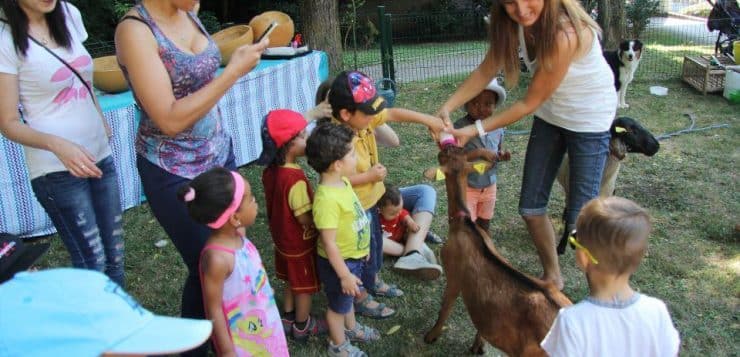 Découvrez les meilleures fermes pédagogiques pour des vacances en famille près de Bordeaux